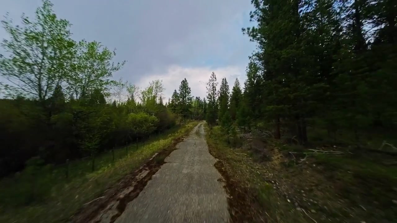 Drone in prima persona che vola basso e veloce sfiorando un sentiero pavimentato abbandonato e crepato, invaso da muschio ed erba, delimitato da una recinzione di filo metallico rustica e circondato da fitti pini sempreverdi