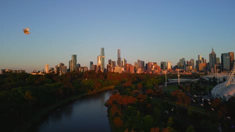 Aerial-drone-view-of-the-Yarra-River-and-city-skyline-in-Melbourne,-Victoria,-Australia