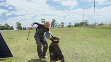 Trainer-training-a-shepherd-dog-in-the-field-4k