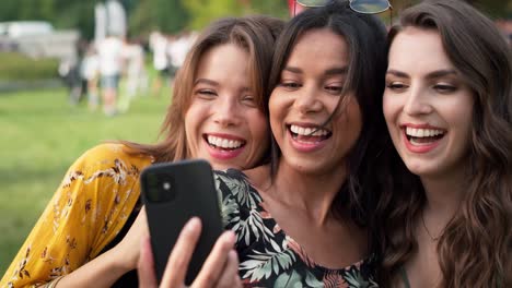 Gruppe-Von-Freunden-Macht-Selfie-Beim-Musikfestival.