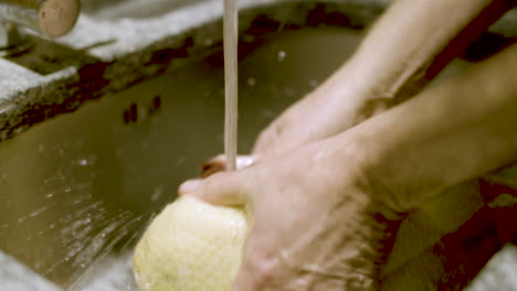 washing a duck in the sink