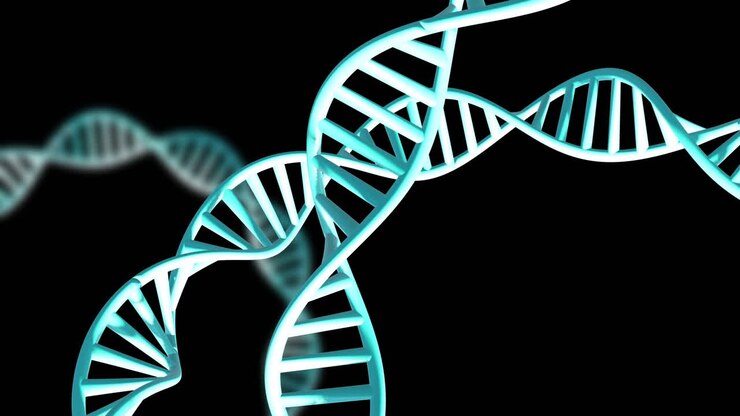 Animation of dna strands spinning with copy space over black background