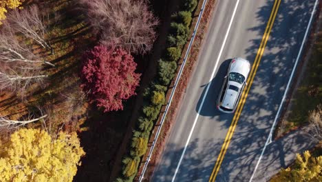 autumn drive through colorful forest