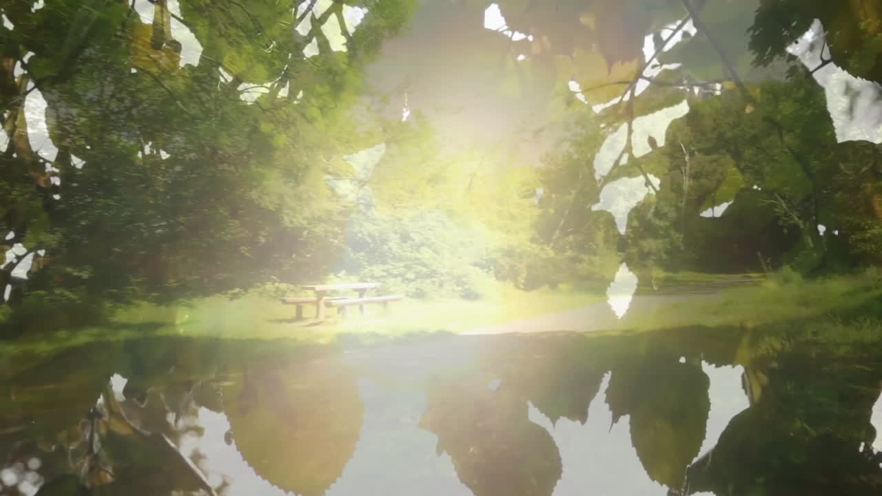 Sunlight filtering through leaves over picnic table and pond in serene park