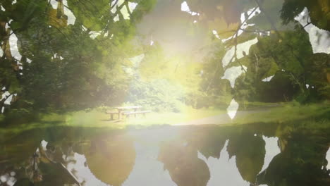 sunlight filtering through leaves over picnic table and pond in serene park