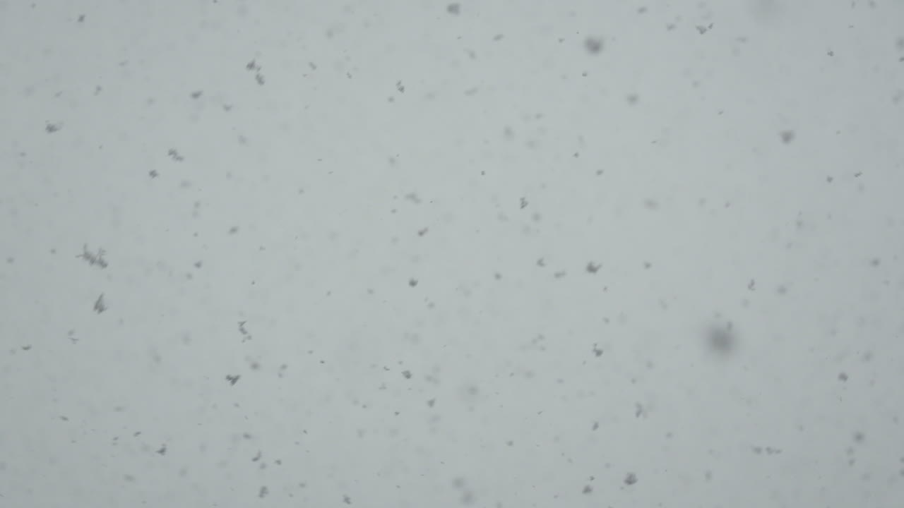 Close up of snowflakes falling during blizzard. Heavy snowfall in slow motion. Total whiteout in harsh winter snow storm