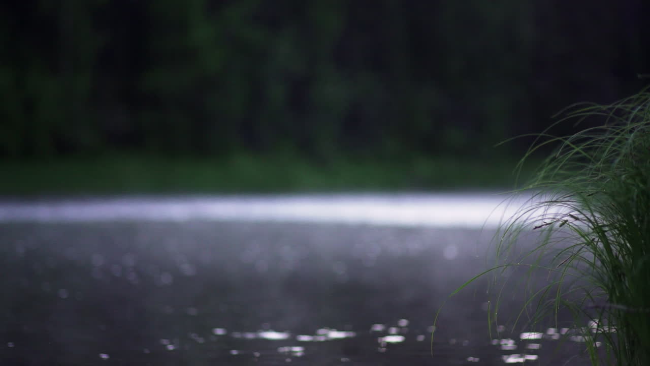 Misty Riverbank at Dusk