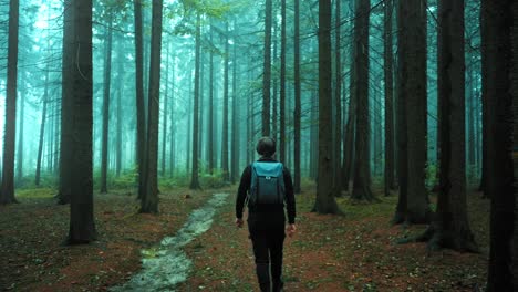 Aufnahme-Eines-Wanderers-Mit-Rucksack-Und-Ausrüstung,-Der-An-Einem-Nebligen-Morgen-Auf-Einem-Schmalen-Pfad-Durch-Den-Wald-Geht