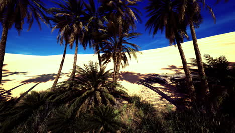 palm trees sway gently under a bright blue sky in a vast desert landscape