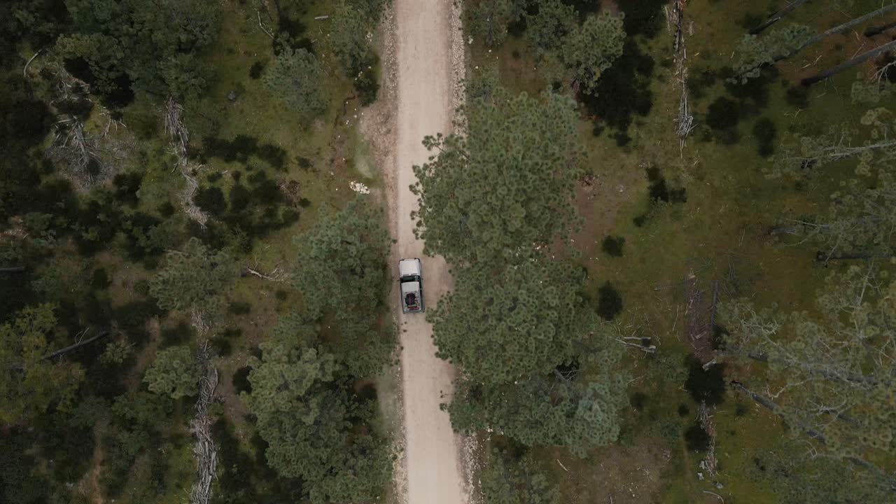 Vista a volo d'uccello di una jeep che percorre una strada di montagna nella foresta, ripresa aerea in movimento.