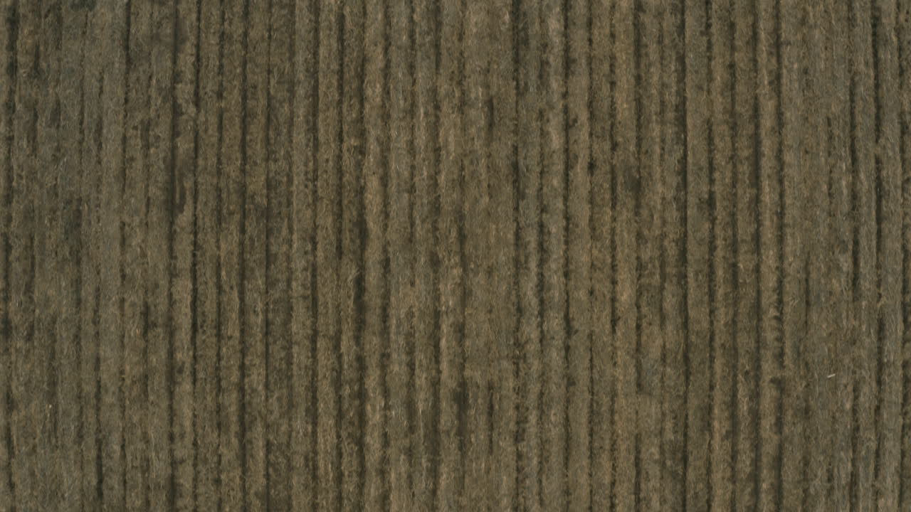 aéreo - líneas paralelas de campos fértiles cultivados, toma amplia de arriba hacia abajo