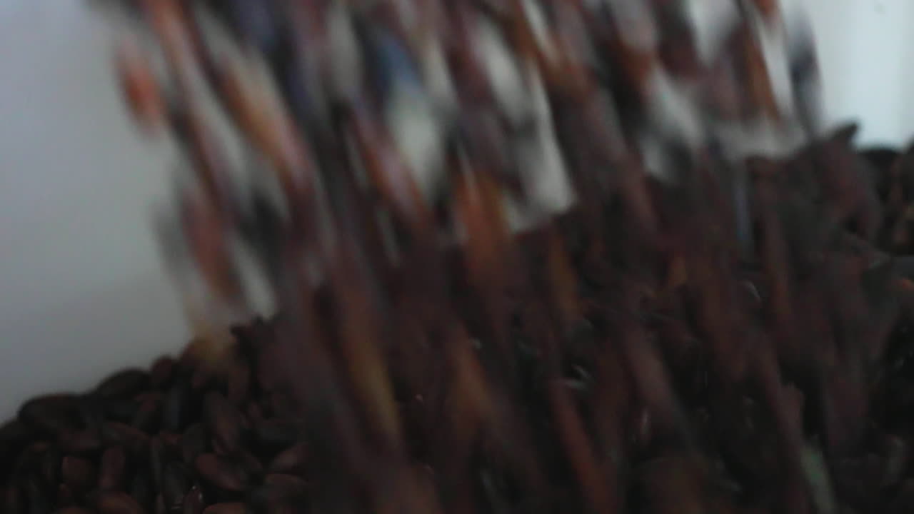 브라질 슈퍼푸드인 바루카스 너트가 용기에 쏟아지는 슬로우 모션 영상