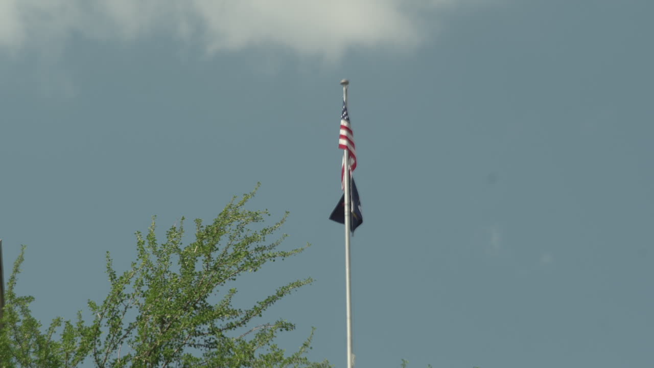 Michigan flag and American flag