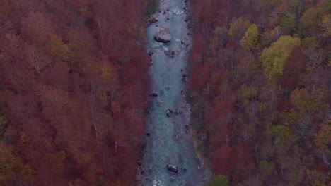 Tapa-fresh-water-river-flowing-through-autumn-color-changed-forest,-aerial