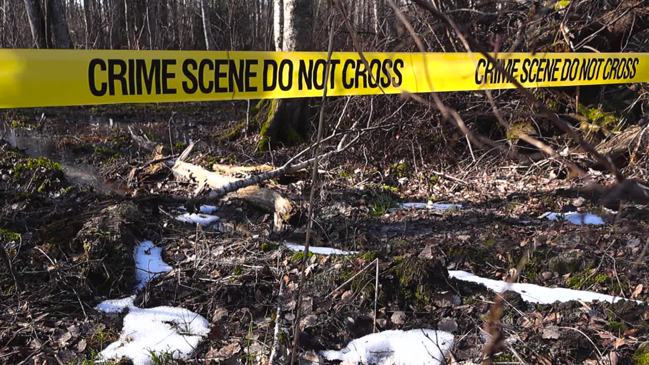 Yellow crime scene tape with the words crime scene do not cross cordoning off a wooded area with patches of melting snow, suggesting an investigation site in a forest during early spring