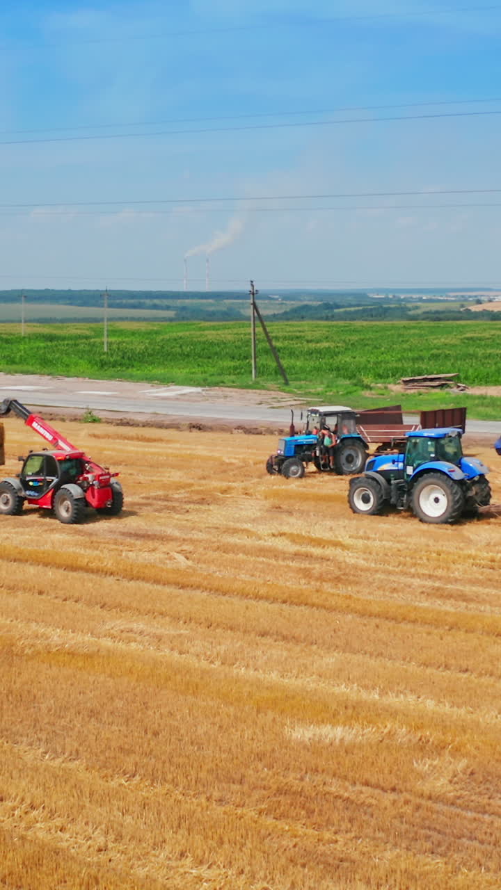 Picking bales of wheat hay at the agricultural field. Machines at farmlands work to pick up the straw left after mowing the bread. Vertical video