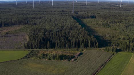 Revelar-Toma-De-Un-Parque-Eólico-Marino-En-Medio-De-Un-Bosque,-Toma-De-Drones-De-Turbinas-Eólicas