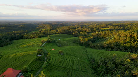 panoramic landscape of shaggy forest with rice terraces against cloudy sky in bali, indonesia