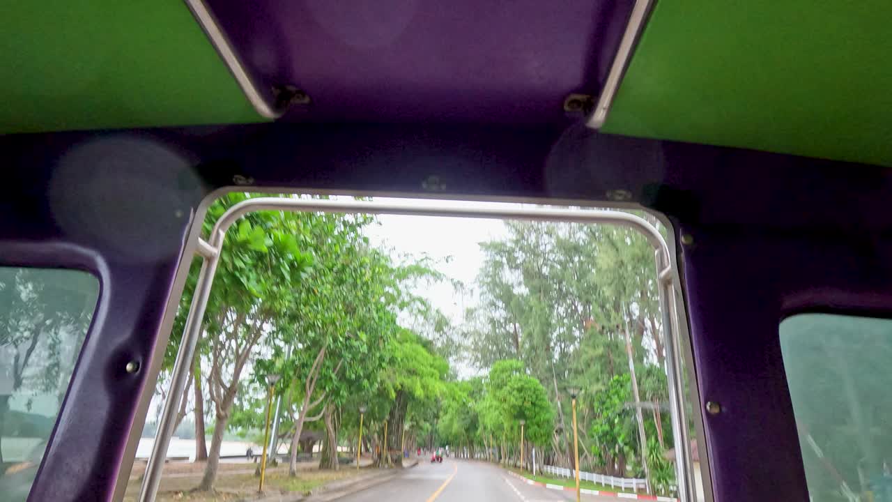 울창한 초록색과 도로를 보여주는 경치 좋은 드라이브