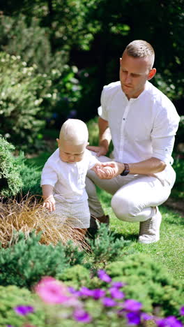 father sits squatted by the little baby boy holding him by the hand. curious blond kid touches green grass with interest. vertical video.