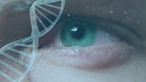 Animation-Des-DNA-Strangs-Und-Der-Datenverarbeitung-über-Dem-Grünen-Auge