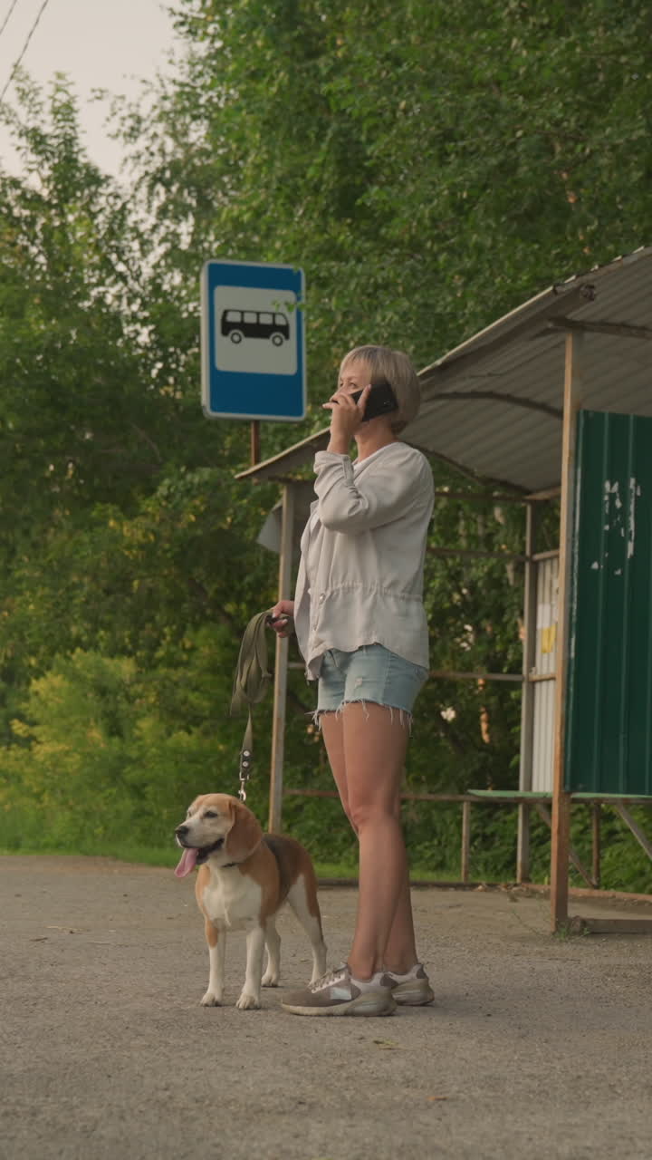 농촌 지역의 버스 정류장에서 개를 에 고 있는 개 소유자, 전화로 이야기하는 동안, 초록색 나무가 버스 정거장 터를 둘러싸고, 자동차가 반대 방향으로 지나가는 것을 볼 수 있습니다.
