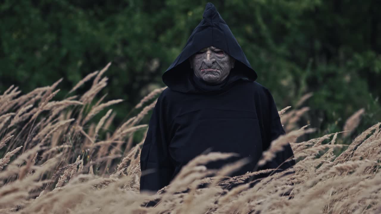 Spøgelse på hvedemark. Ensom spøgelsesfigur står på marken.
