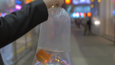 close up view of woman arm holds plastic package with gold fish and going in the shopping mall hong kong china