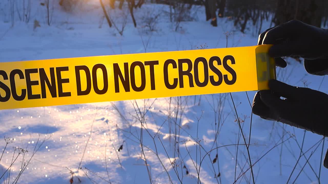 Close slow motion view of gloved hands stretching police tape across sunlit, shadows winter wooded area during investigation. Rolling out crime scene tape, snow covered remote nature in shallow depth