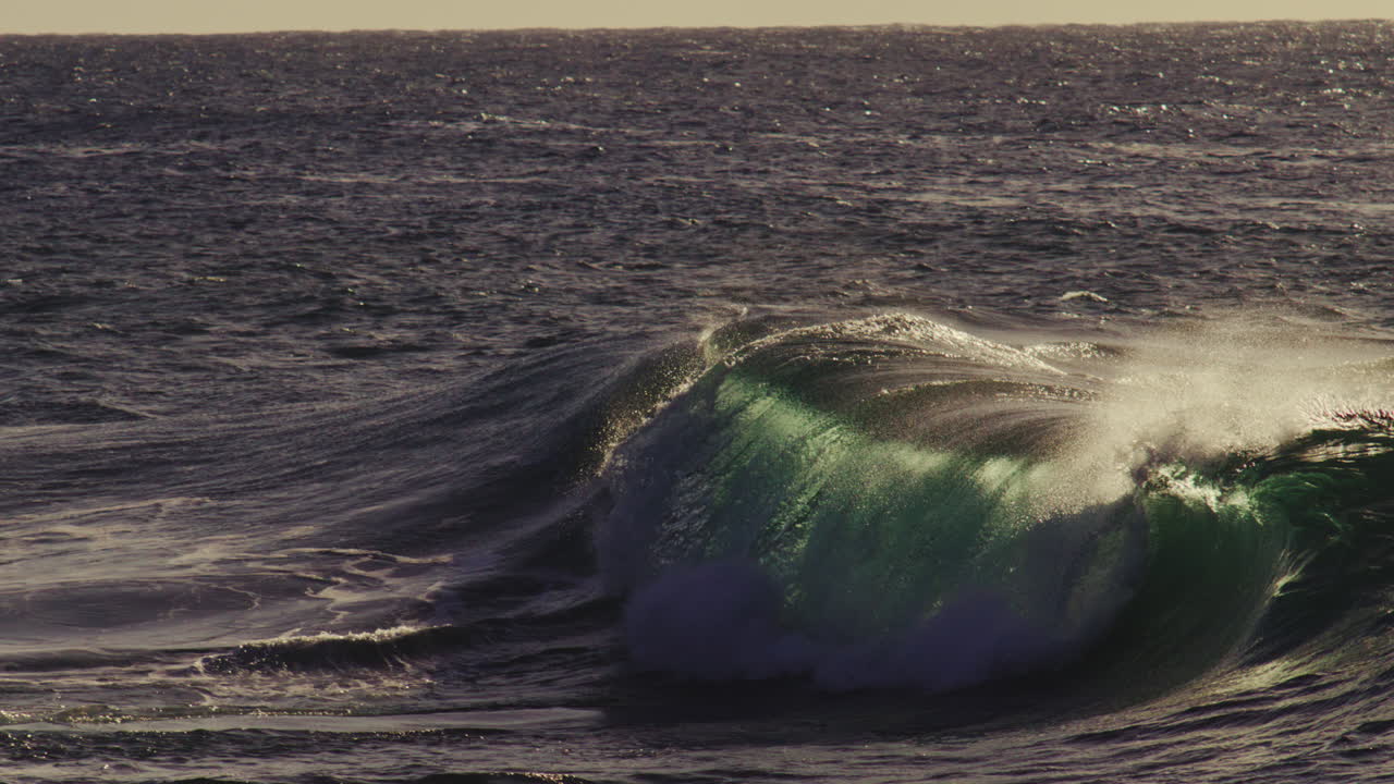 Wave rolls under golden haze with side lighting, foamy crest breaks against calm surface