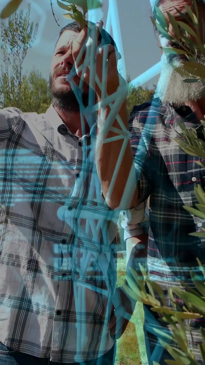 Video verticale: Due agricoltori che si protendono in un frutteto, con una scansione AR che guida l'esame ravvicinato di un ramo.
