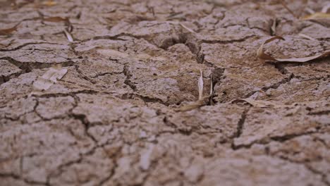 Grietas-En-El-Barro-Seco-Del-Lecho-Del-Río-En-La-Sequía-Impactada-En-Siem-Reap,-Camboya