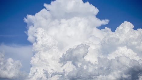 タイムラプスのクローズアップビューで立ち上がる積雲