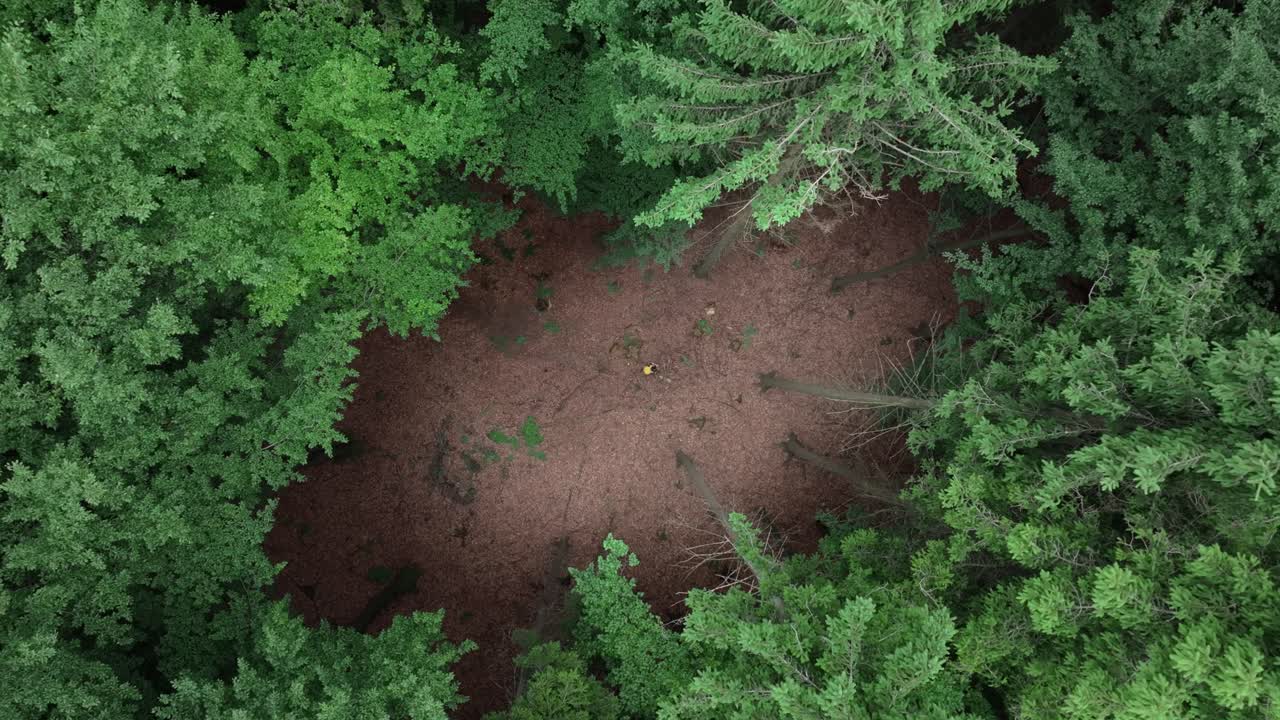 View down to a clearing with a person walking in the forest. Discovering an interesting place