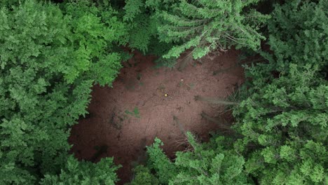 view down to a clearing with a person walking in the forest. discovering an interesting place
