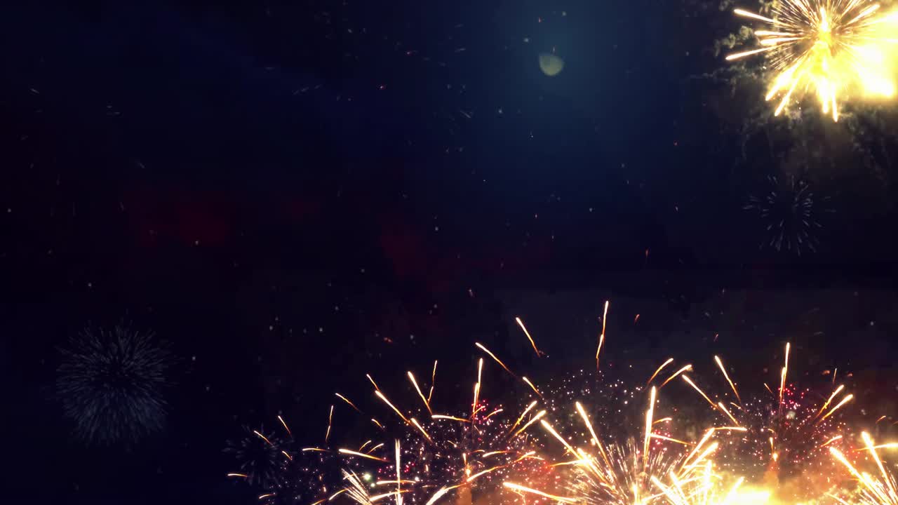 Fireworks Celebration in the Night Sky