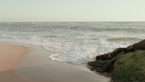gentle sea waves roll onto sandy beach near moss covered rocks under soft morning light