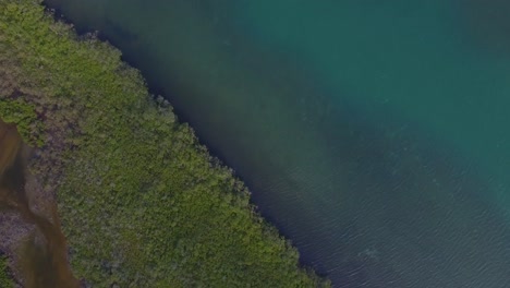 birds eye view of a mangrove coast in the venezuelan caribbean sea