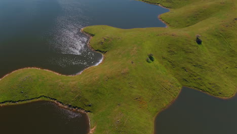 revelación aérea de un lago rodeado de colinas verdes, el embalse de san luis en california