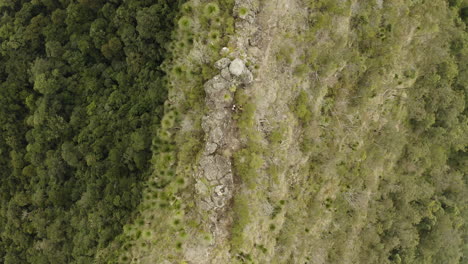 4k-aerial-flight-above-two-people-hiking-on-a-trail-path-on-a-mountain-spine-at-Border-Ranges-National-Park,-New-South-Wales-Australia