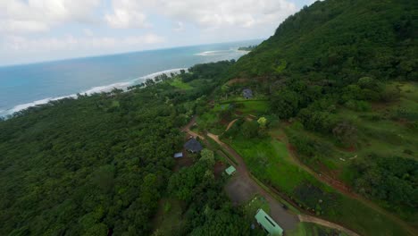 toma cinematográfica de drones del valle del río tropical de la selva tropical de hawaii
