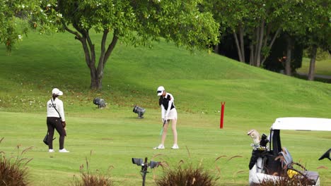 golfer executing a swing on a sunny day.