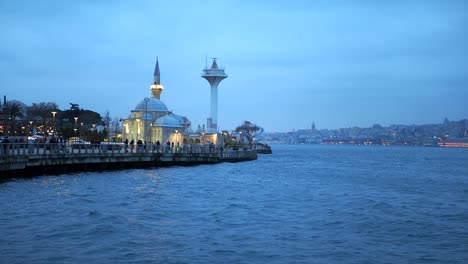 el horizonte de estambul con la mezquita y la torre galata por la noche