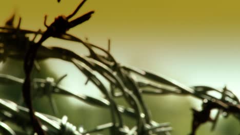 Selective-focus-background-of-a-barbed-wire,-barb-wire-used-in-security-and-trench-warfare