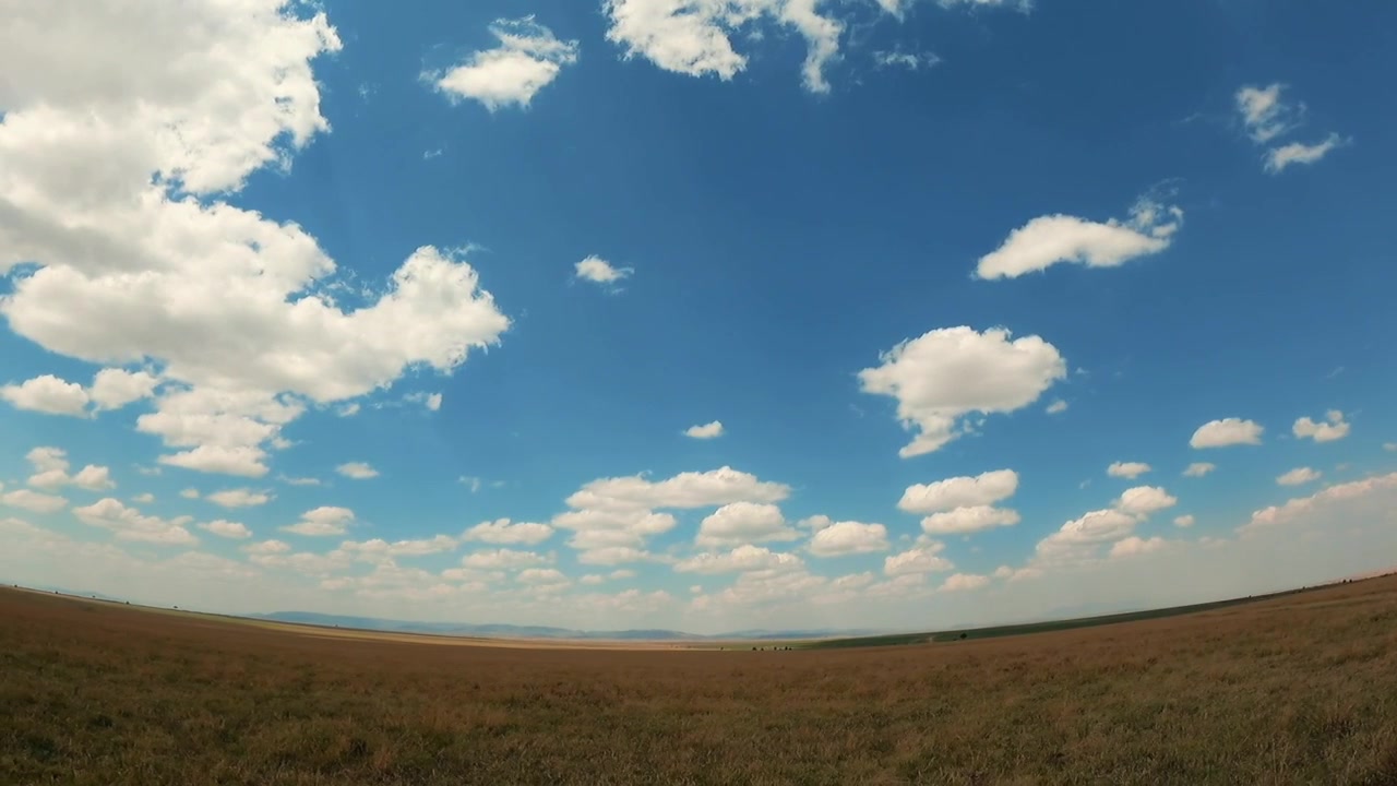 Una ripresa in soggettiva da un veicolo safari che esplora la Riserva Nazionale Masai Mara