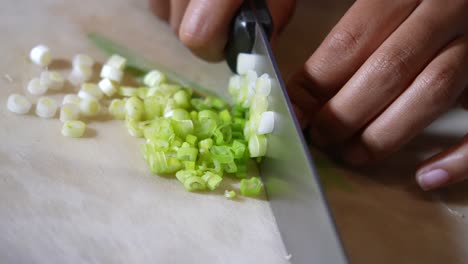 hands seen chopping green onions to top a plated savory dish - isolated close up