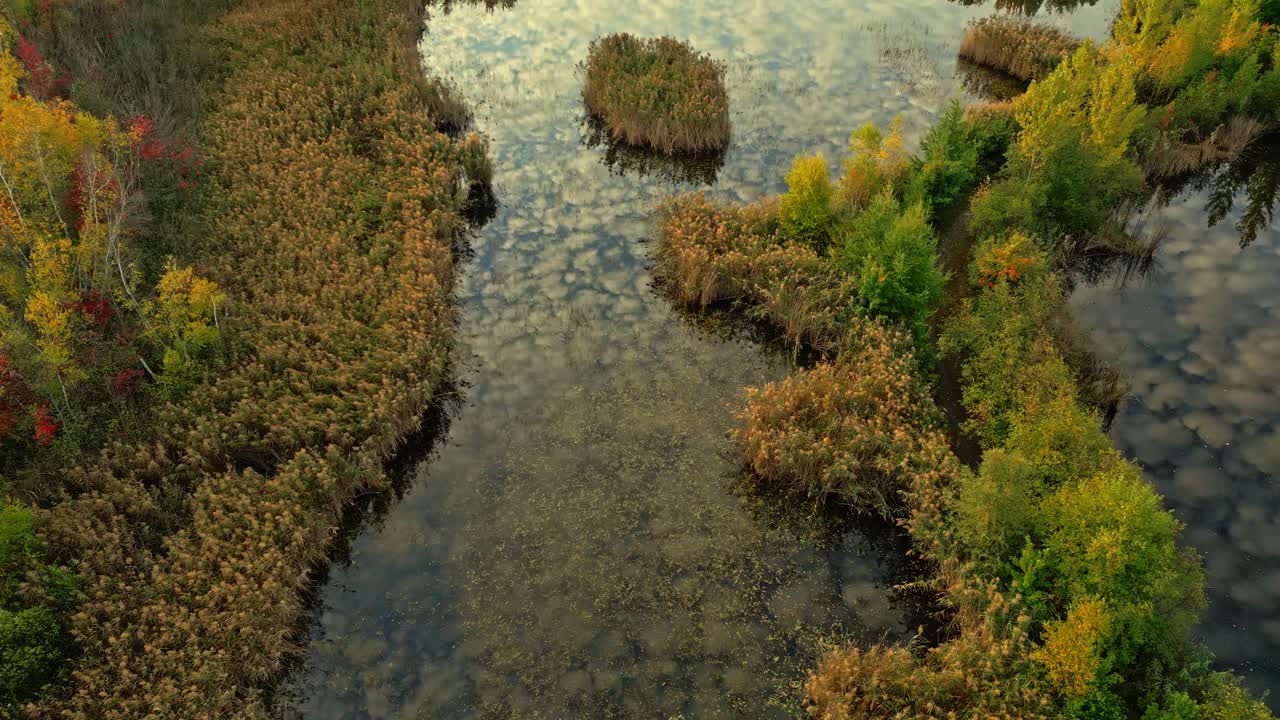 Aerial view of a calm wetland with green vegetation and still water reflecting the sky, North America, Quebec, Montreal, Canada.