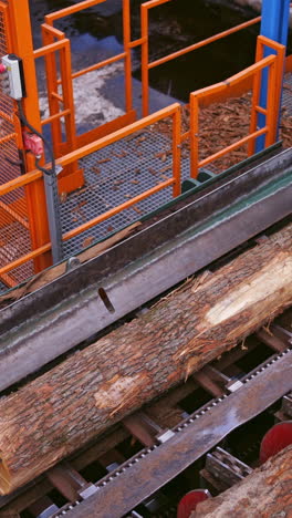 sawmill. process of machining logs in a machine. wood industry. top view on machinery. heavy technic closeup. vertical video
