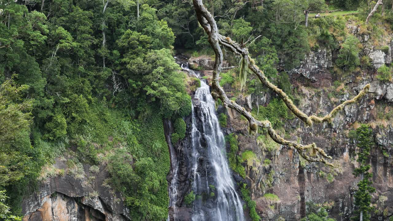 mirador de las cataratas moran y cascadas en las selvas tropicales de gondwana, declaradas patrimonio de la humanidad por nesco, en los parques nacionales de lamington