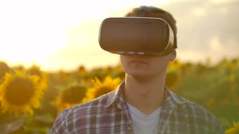 un niño inspecciona un campo con girasoles en gafas de realidad virtual. estas son tecnologías modernas en la noche de verano.